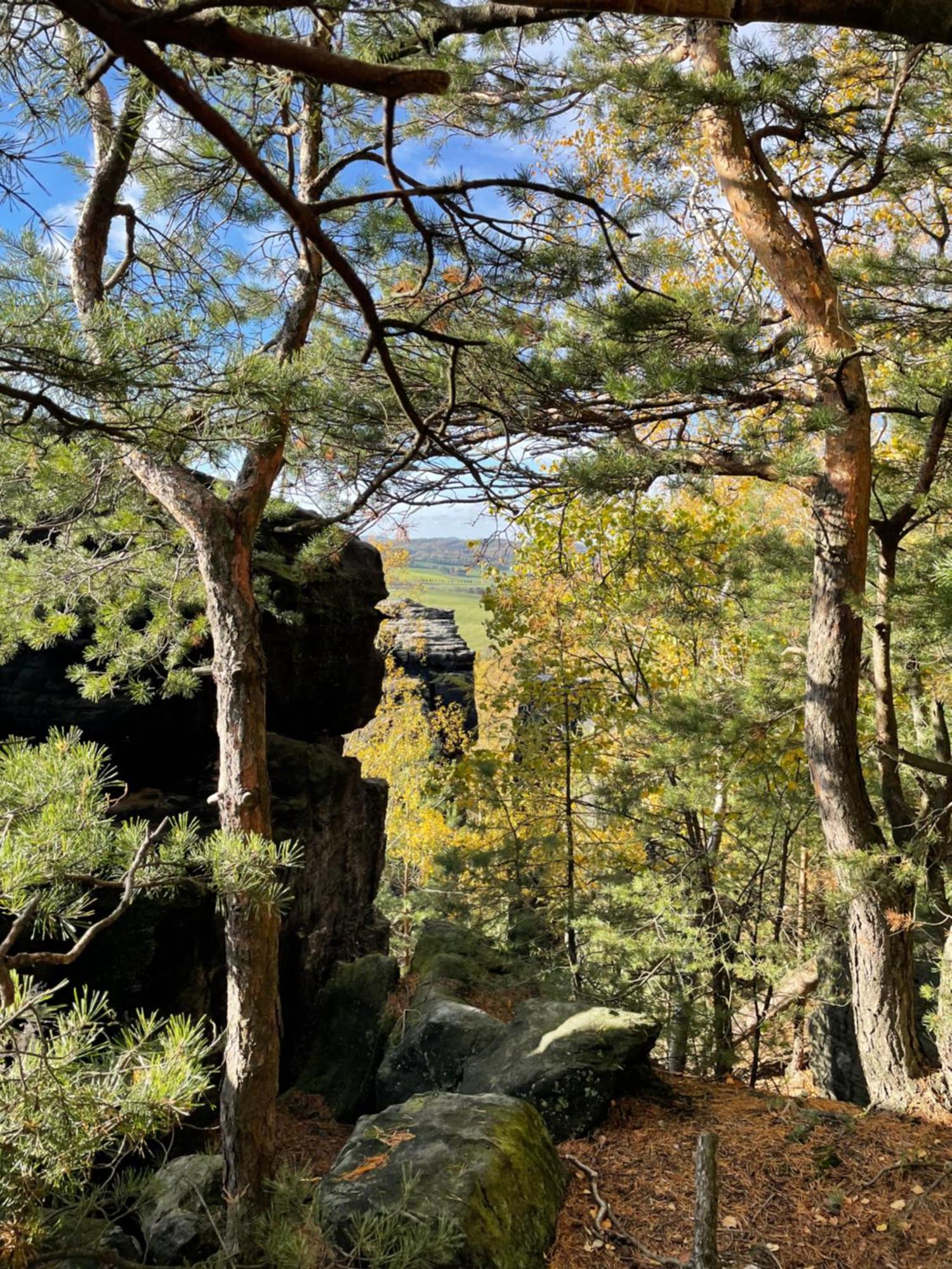 ホテル Fox House Tisa / Rajec エクステリア 写真